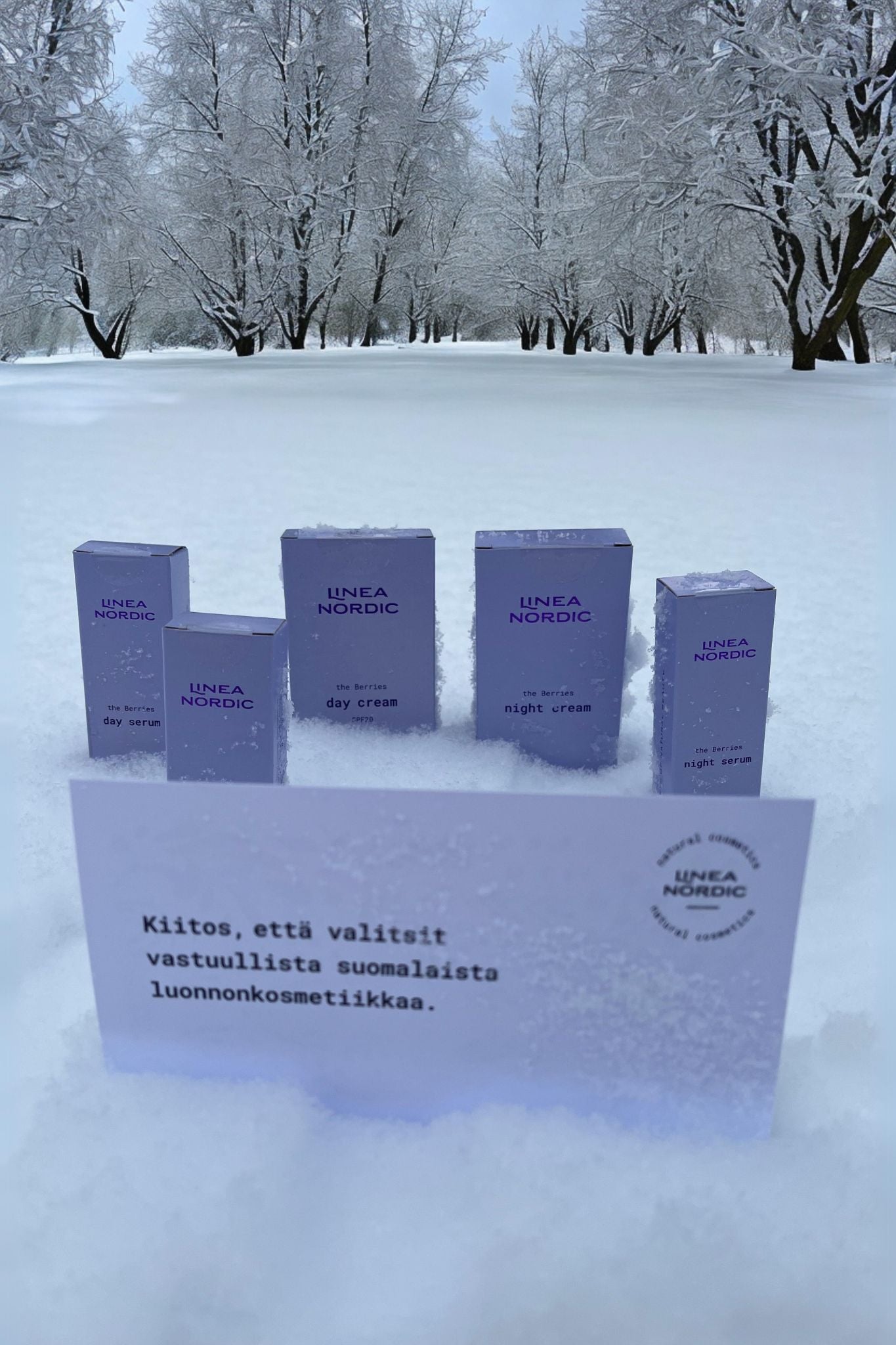 the Berries - ihonhoitosetti